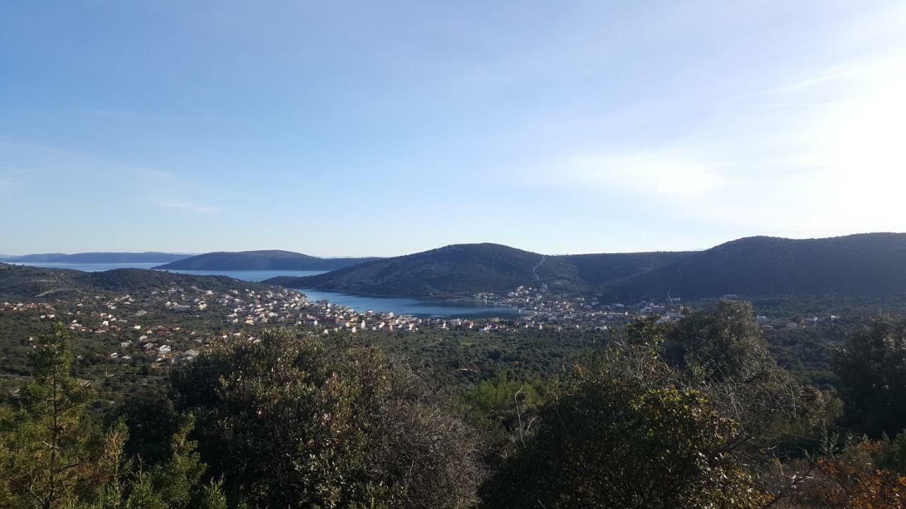 Anka Vinisce